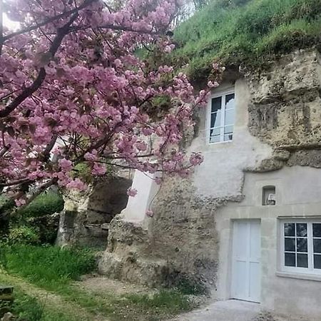 Troglo Entre Caves Et Chateaux 몬트리오스수르로아 외부 사진