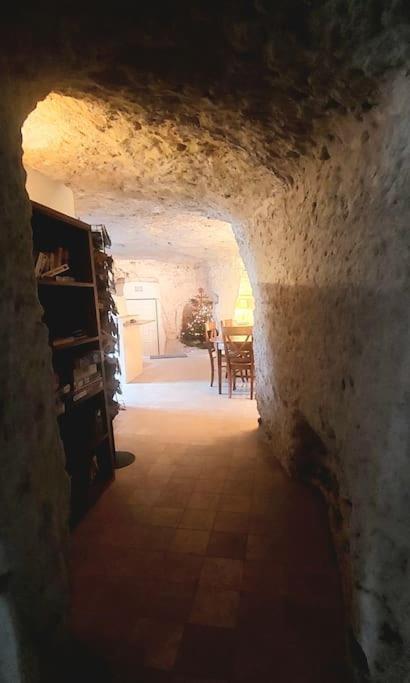 Troglo Entre Caves Et Chateaux 몬트리오스수르로아 외부 사진