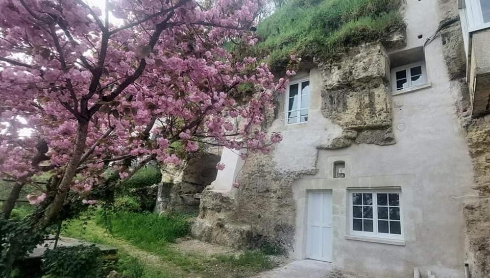 Troglo Entre Caves Et Chateaux 몬트리오스수르로아 외부 사진
